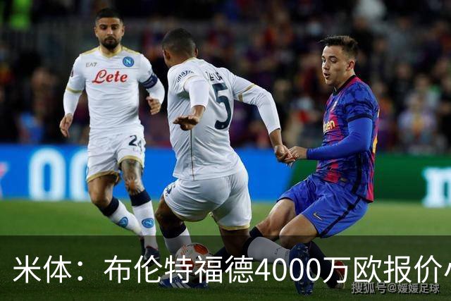 米体：布伦特福德4000万欧报价小斯坦科维奇，国米拒绝
